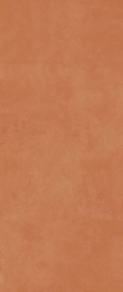 RETINA ARANCIO 120x278