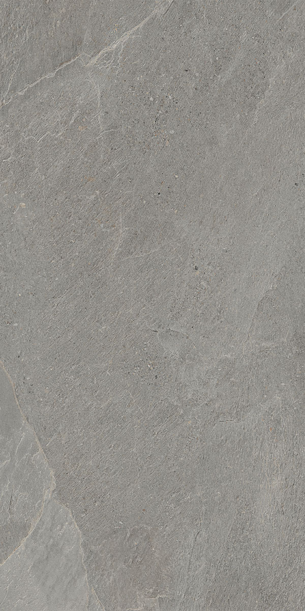 CERDOMUS 60x120 Moonstone Silver Matt 